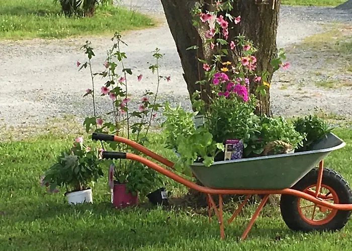 La Gelette Alojamento de Acomodação e Pequeno-almoço